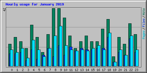 Hourly usage for January 2019