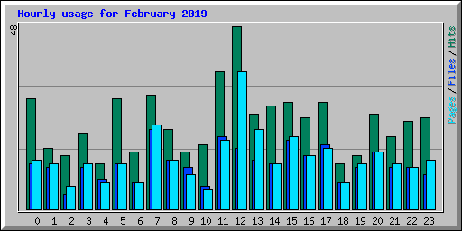 Hourly usage for February 2019